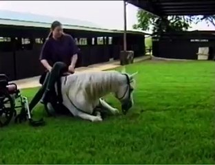 It's right or wrong ?