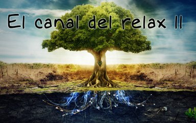 UNA HORA DE MUSICA RELAJANTE CELTA CON ARPA