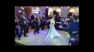 شاهد رقص برديس وافعال مثيىرة واجمد رقص 2016