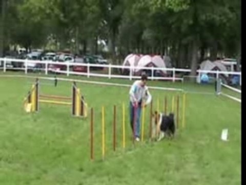 Agylity dreamy lion d'angers 2007