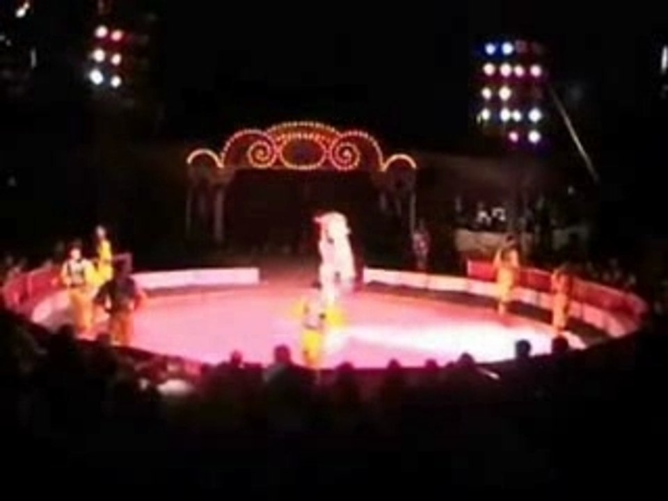 Cherifian troupe holland
