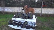 Bursa Narkotik Köpeği Alfa 17 Kilo Esrar Yakaladı