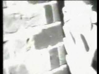 Nitzer ebb - lightning man