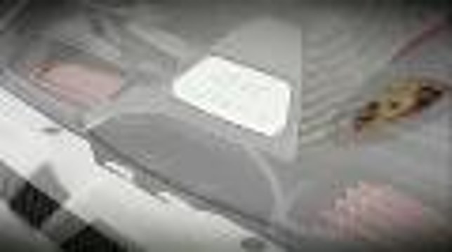 Porsche 911 GT3 RS 4.0