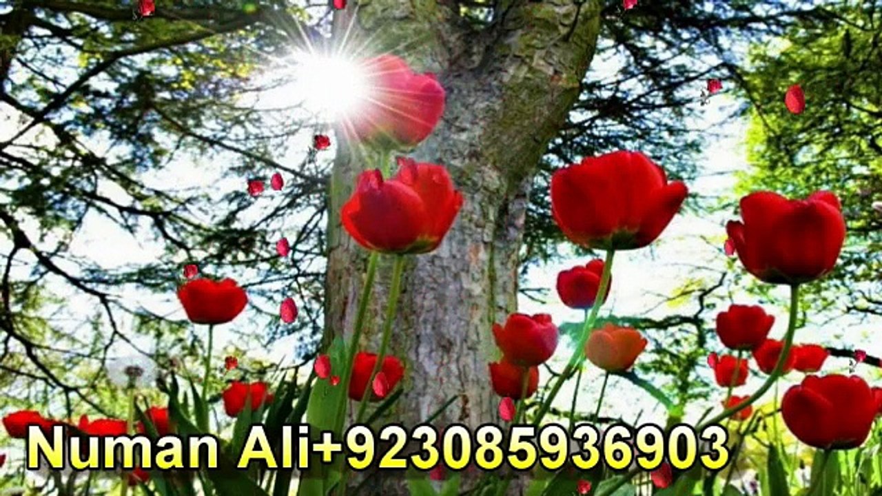 Dil to pagal ha (((( romantic song))))