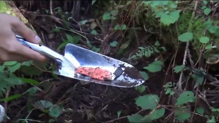 心霊動画「最恐心霊映像・心霊現象・PART27」呪い最新HDD スーパー