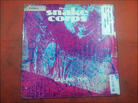 THE SNAKE CORPS.(THIS IS SEAGULL...)(12''.)(1989.)
