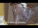 Torino - 'Ndrangheta, testa di maiale come minaccia: 20 arresti (14.01.16)