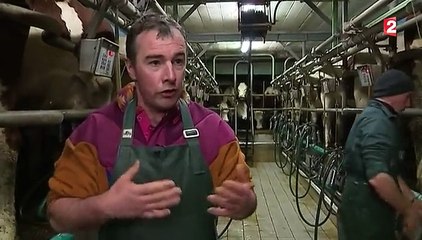 Fromage : le Comté, un succès gastronomique et économique