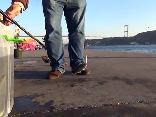 rumeli hisari rapala ile lufer avi www.denizsozluk.com