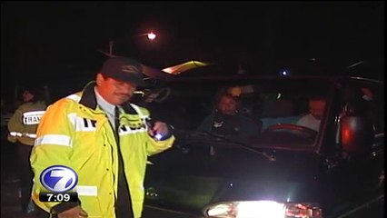 tn7-transporte-ilegal-140116