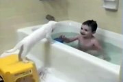 Cat Regrets Entering Bath - Funny Videos at Fully :)(: Silly