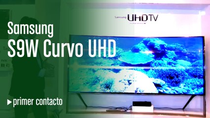 Samsung S9W Curvo UHD