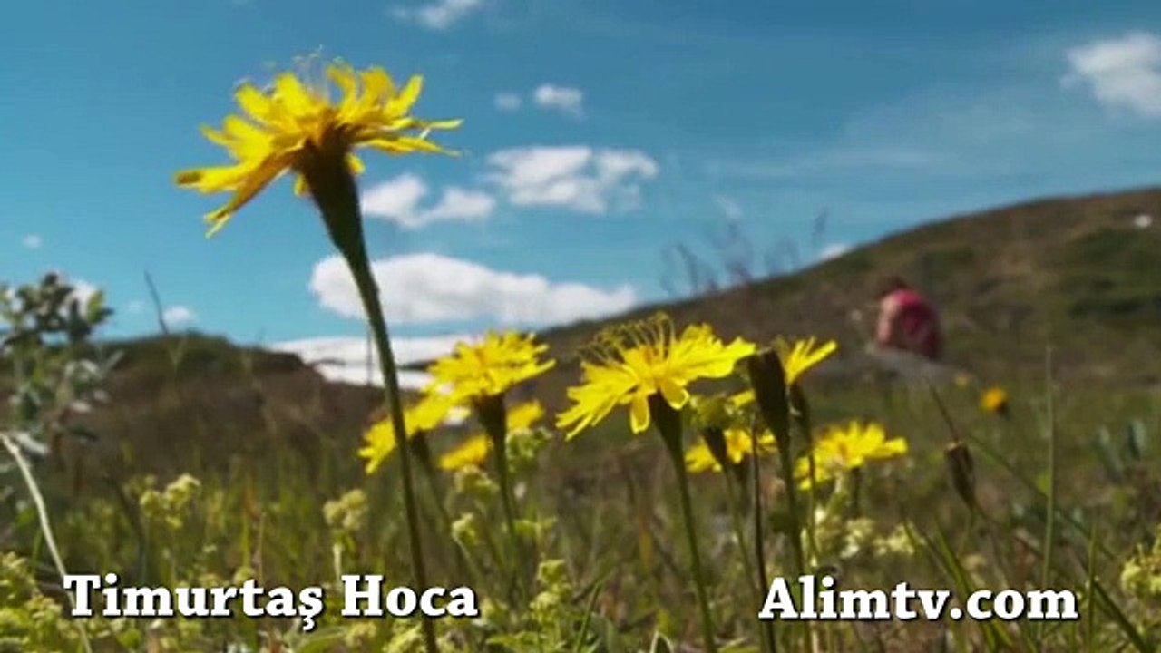 Kendinizi ve Ehlinizi Cehennemden Koruyun - Timurtaş Uçar