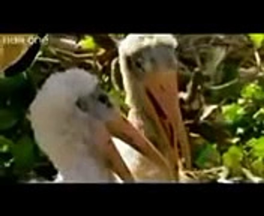 VID-20160113-WA0004