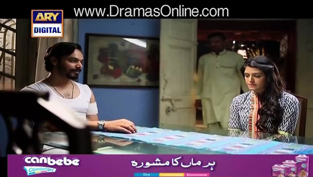 Mere Jevan Sathi » Ary Digital » Episode 	24	» 14th January 2016 » Pakistani Drama Serial