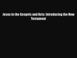 Download Jesus in the Gospels and Acts: Introducing the New Testament Ebook Online