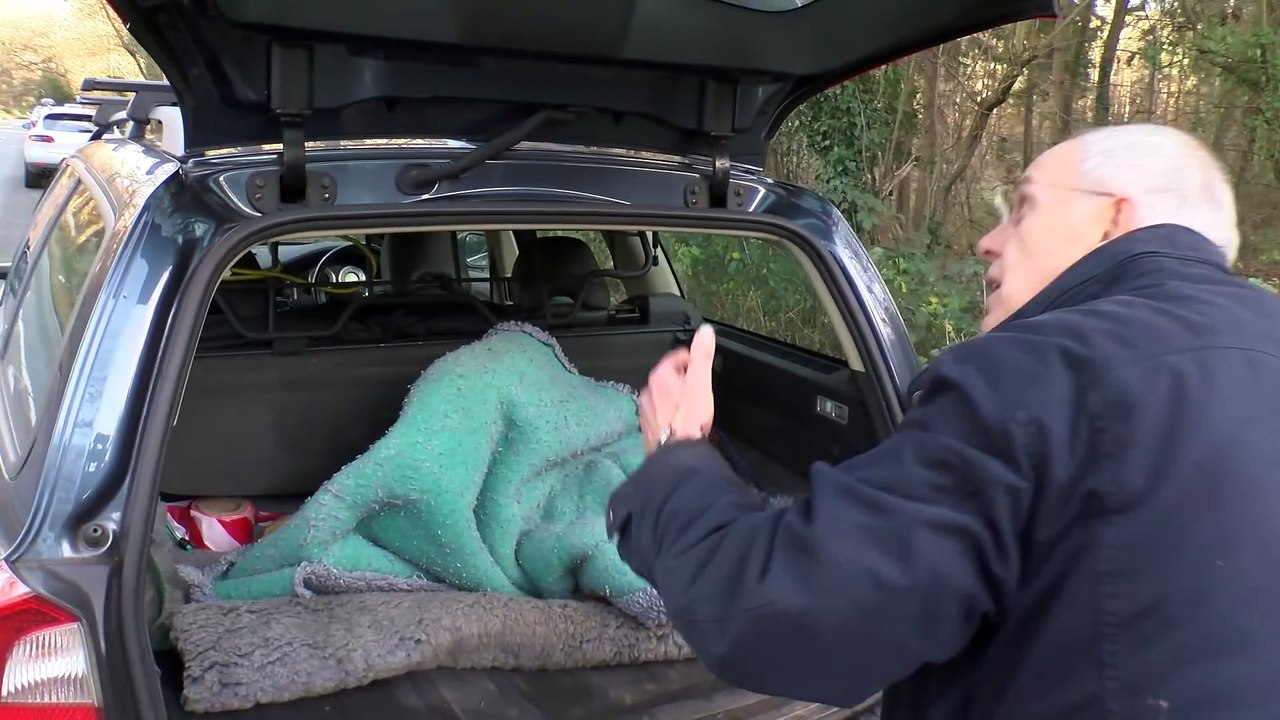 Cet homme prend une biche blessée dans ses bras...