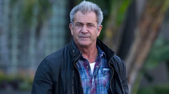 Mel Gibson Says Things Are 'Fantastic' Between Him and Ricky Gervais