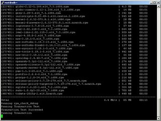 Centos 6 - update packages