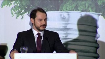 Albayrak: "Yenilenebilir Kaynaklardaki Altyapı Kapasitesinin Ciddi Anlamda Arttı"