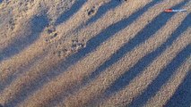 Barletta Ponente: il suggestivo effetto della sabbia spostata dal vento