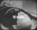 Loose Cannon The Savages Episode 3 LC29