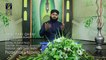 Sarwar Kahon Full HD Video Naat [2016] Anas Rabi Qadri - Naat Online