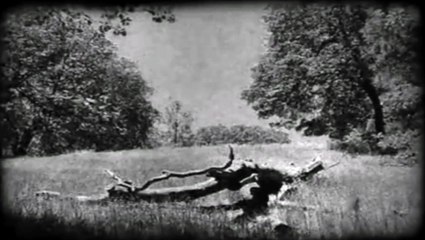 Alive DINOSAUR caught on Film _ Leaked Top Secret KBG Footage _ 1945