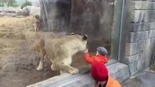 brave child. must watch