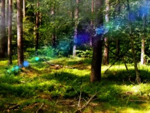 REAL ghost orbs caught on video | Paranormal Activity Caught On Tape 2016