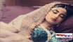 Gul e Rana & Adeel ► Tera Chehra -Wedding Special- - Video