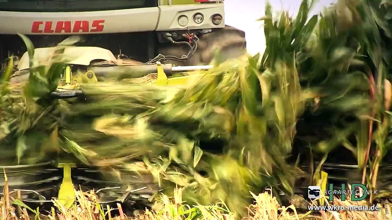 CLAAS JAGUAR 990 | Krone Big X 700 | Fendt Traktoren | Maishäckseln | AgrartechnikHD