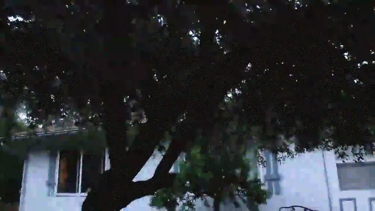 New Slenderman Sighting today スレンダーマン