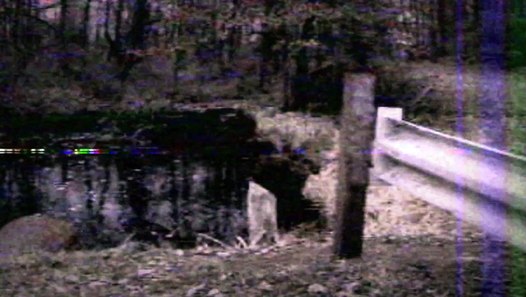 Michigan Toadman caught on Video _ Cryptids caught on tape _ dogman