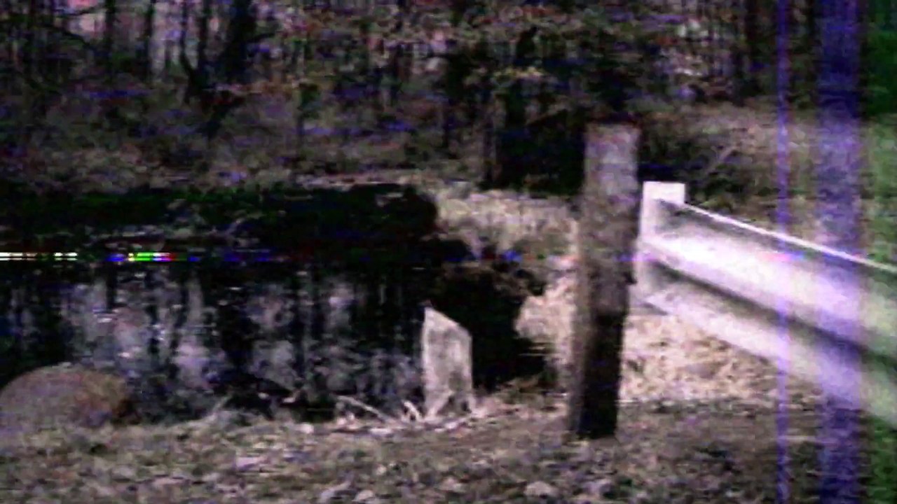 Michigan Toadman caught on Video _ Cryptids caught on tape _ dogman _ supernatural _ NEW 2015