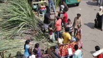 Sri Lanka celebra el festival de la cosecha