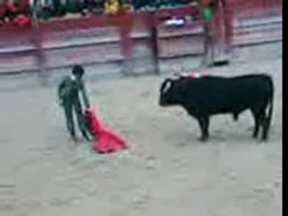 Corida 3