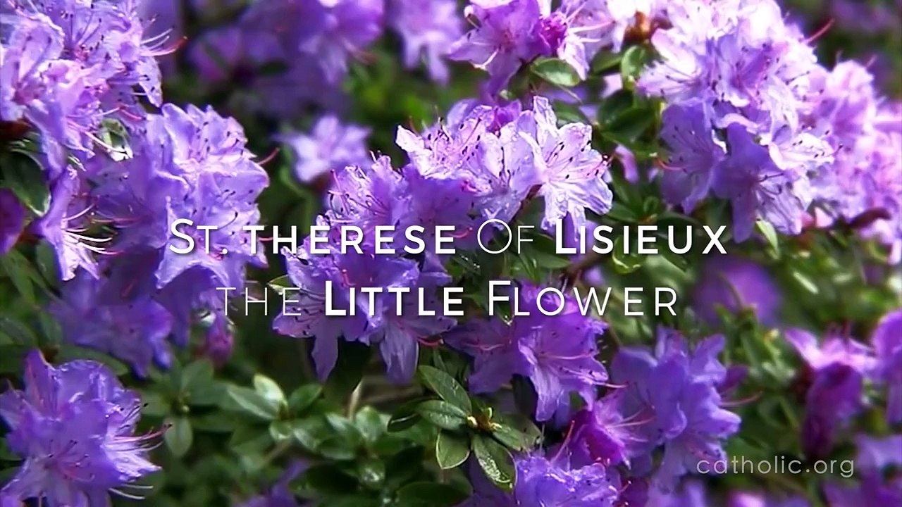 St. Therese of Lisieux, the Little Flower HD