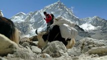 Trek the mountains of Khumbu, Nepal in Google Maps