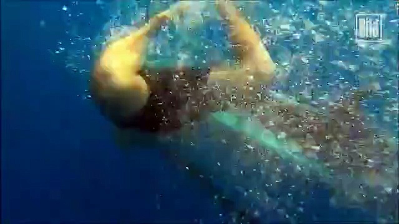 Diese Rettungsaktion hätte für Mensch und Wal tödlich enden können.