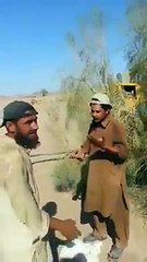 Pashto 18+ Da Saudi Arab Da Mazdoorey Na Tang Pukhtoon Musafar - Funny Pathan Musafar Video