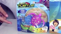 Robo Turtle Playset by Zuru   Surprise Egg Game Kids Toys