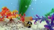 Minions Shark Bait Building Set by Mega Bloks Stop Motion