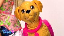 Barbie Havuz Suyu İçen Köpeğini Veterinere Götürüyor