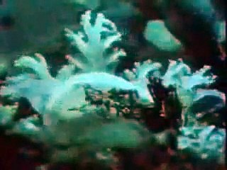 yes - close to the edge pt. 2