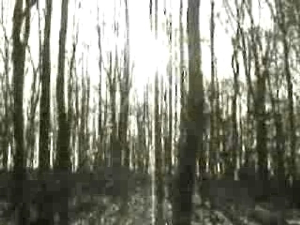BOARDS OF CANADA - IN A BEAUTIFUL PLACE