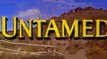 Untamed (1955) Tyrone Power, Susan Hayward, Richard Egan.  Adventure, Drama, Romance