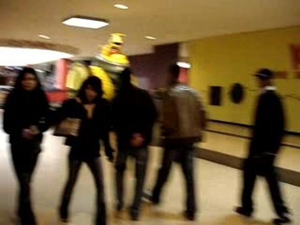Video Blog #5