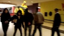 Video Blog #5